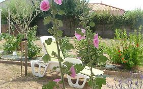 Chambre d'hôte Fleur de Potager