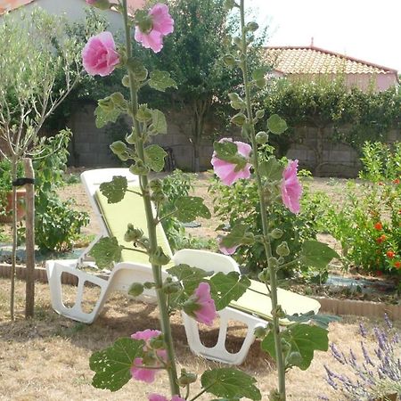 Chambre d'hôte Fleur de Potager Les Sables-dʼOlonne Extérieur photo