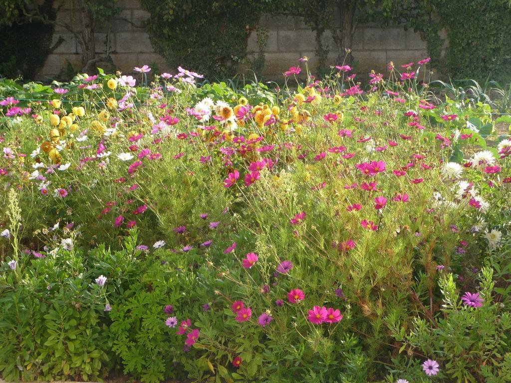Chambre d'hôte Fleur de Potager Les Sables-dʼOlonne Extérieur photo