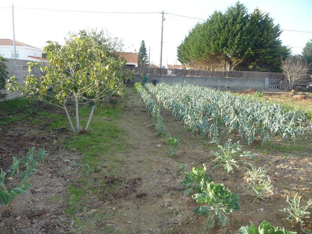 Chambre d'hôte Fleur de Potager Les Sables-dʼOlonne Extérieur photo