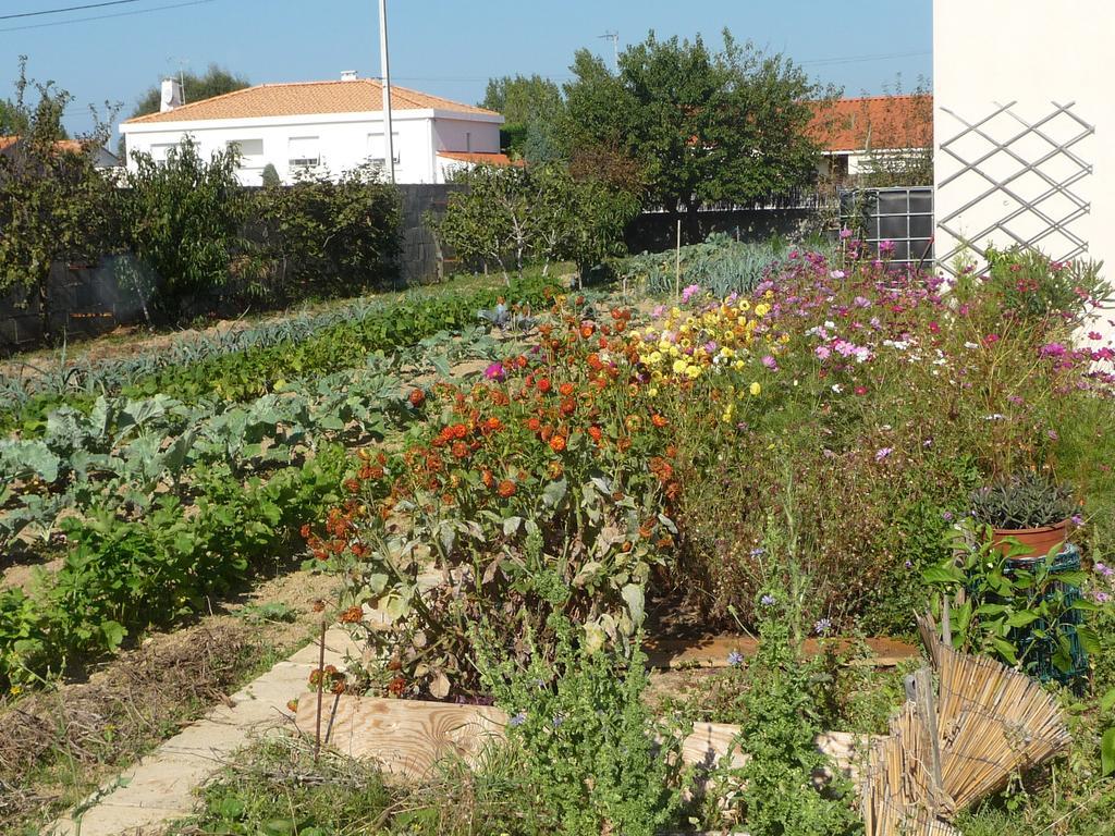 Chambre d'hôte Fleur de Potager Les Sables-dʼOlonne Extérieur photo