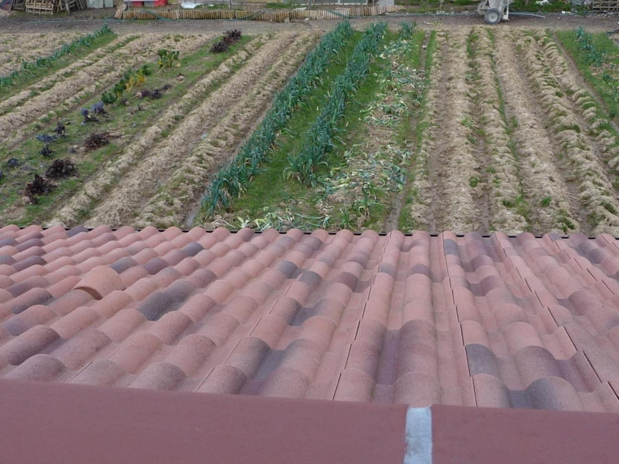 Chambre d'hôte Fleur de Potager Les Sables-dʼOlonne Extérieur photo
